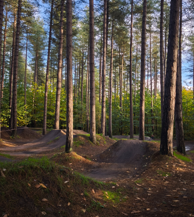 Jumps & Drops with Cam Orr at Sherwood Pines